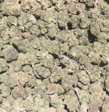 Wild Strawberry 17.4% CBDa